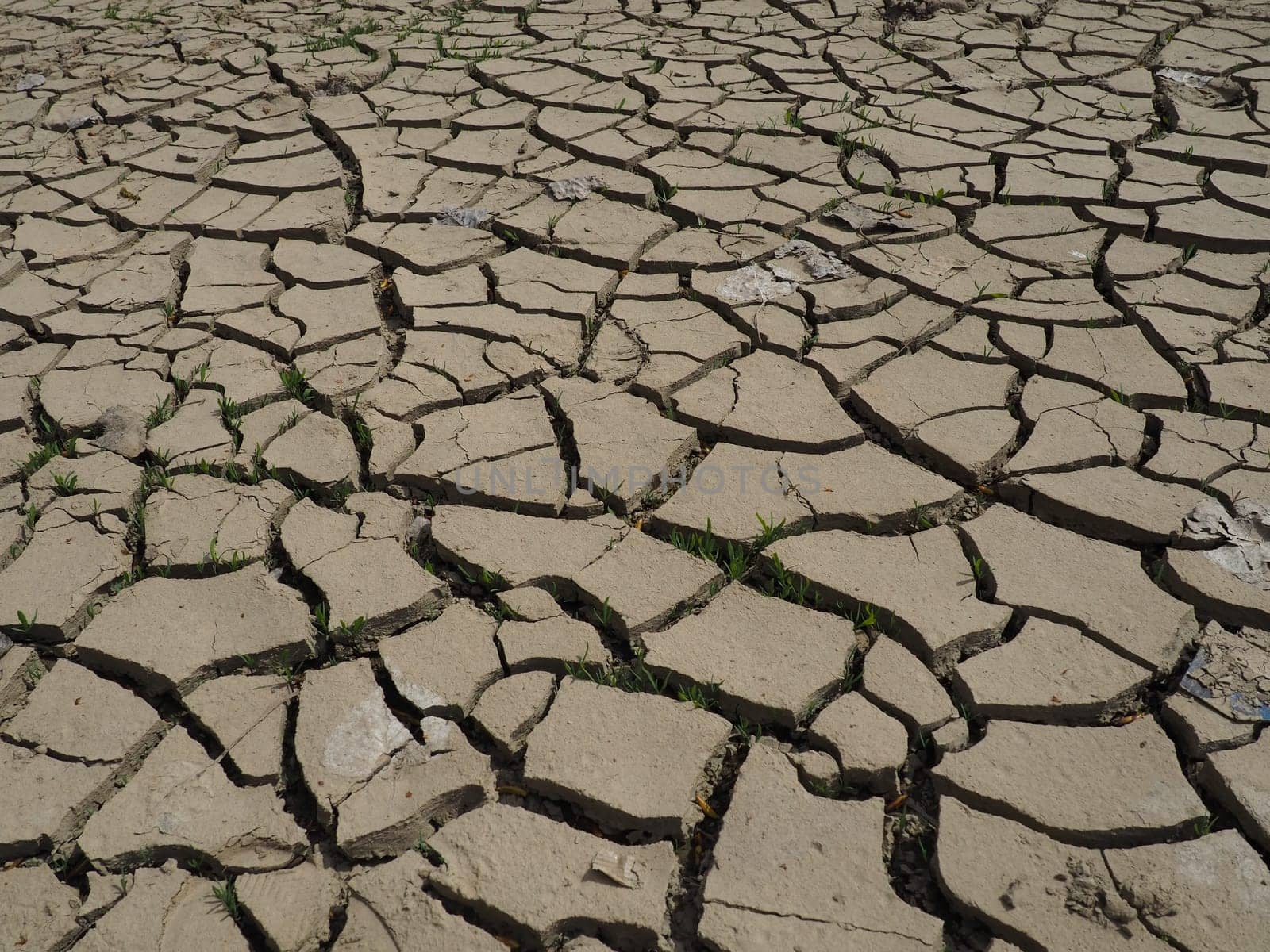 Deep cracks in the land as a symbol of hot climate and drought. Desert and cracked ground. Uneven, swollen ground. Emptiness and death. Ecological and natural theme