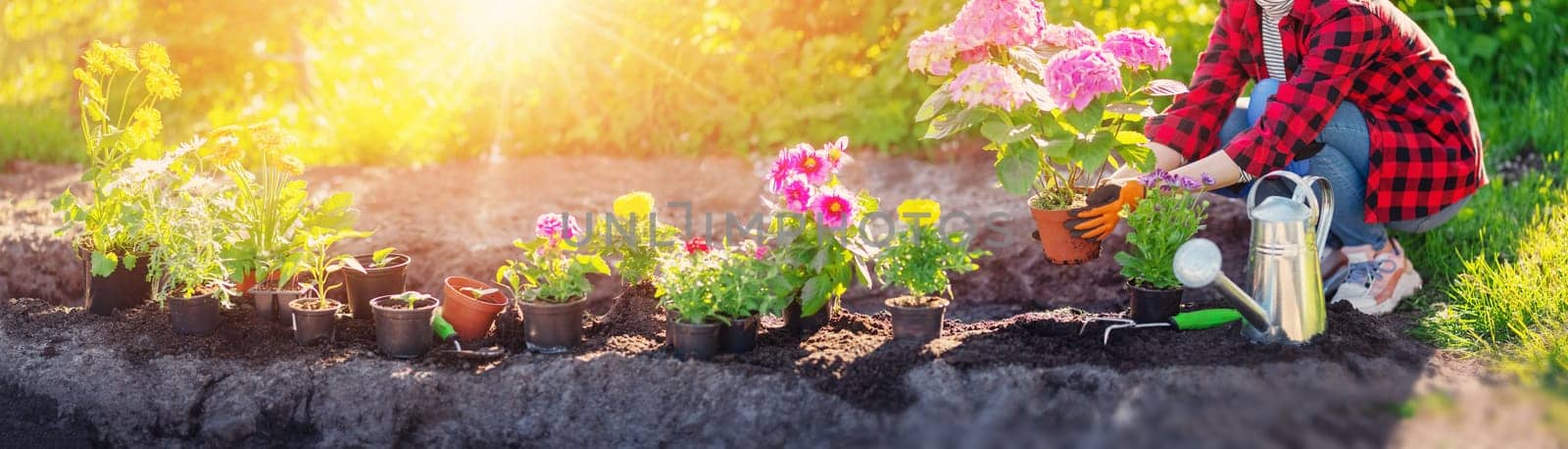 Gardner holding in her hands sprout of flower. Concept of gardening and farming.