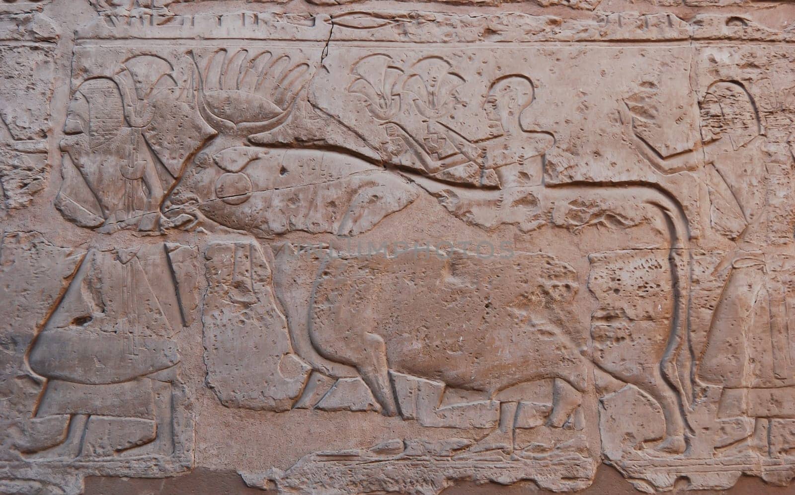 Wall Egyptian relief in Luxor temple, Egypt