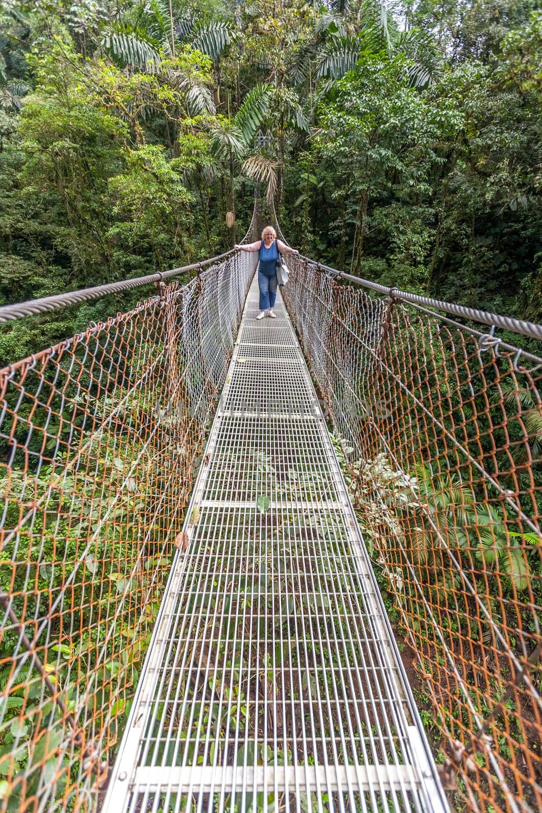 Suspension bridge in the tropical rain forest of Costa Rica