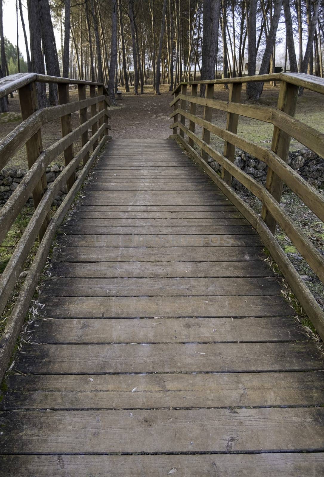 Detail of access for pedestrians in a forest in nature