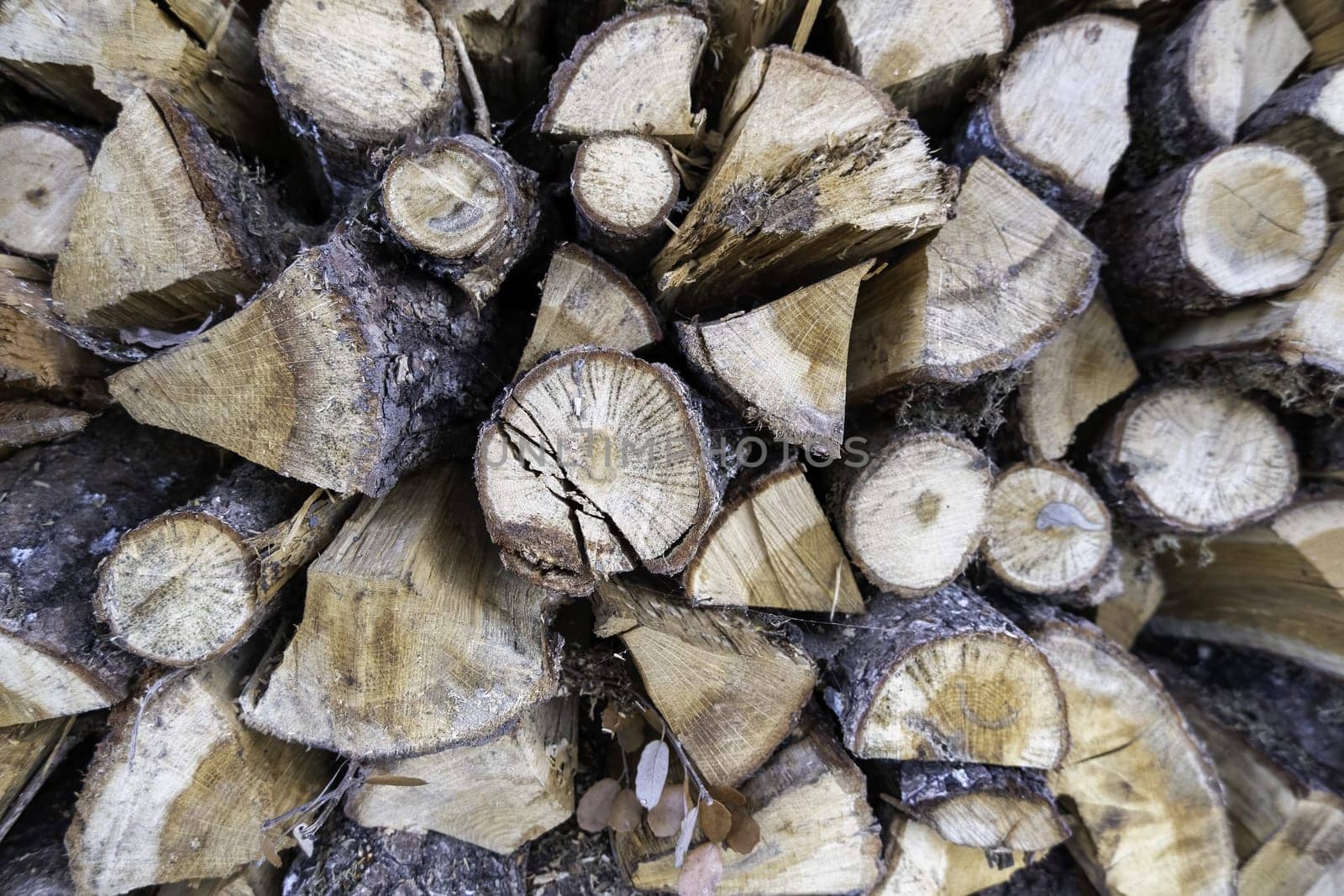Detail of trees cut to burn and give heat at home, heating