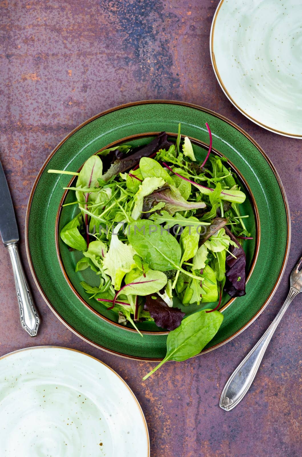 Mix of fresh salad leaves on the plate. Green food.
