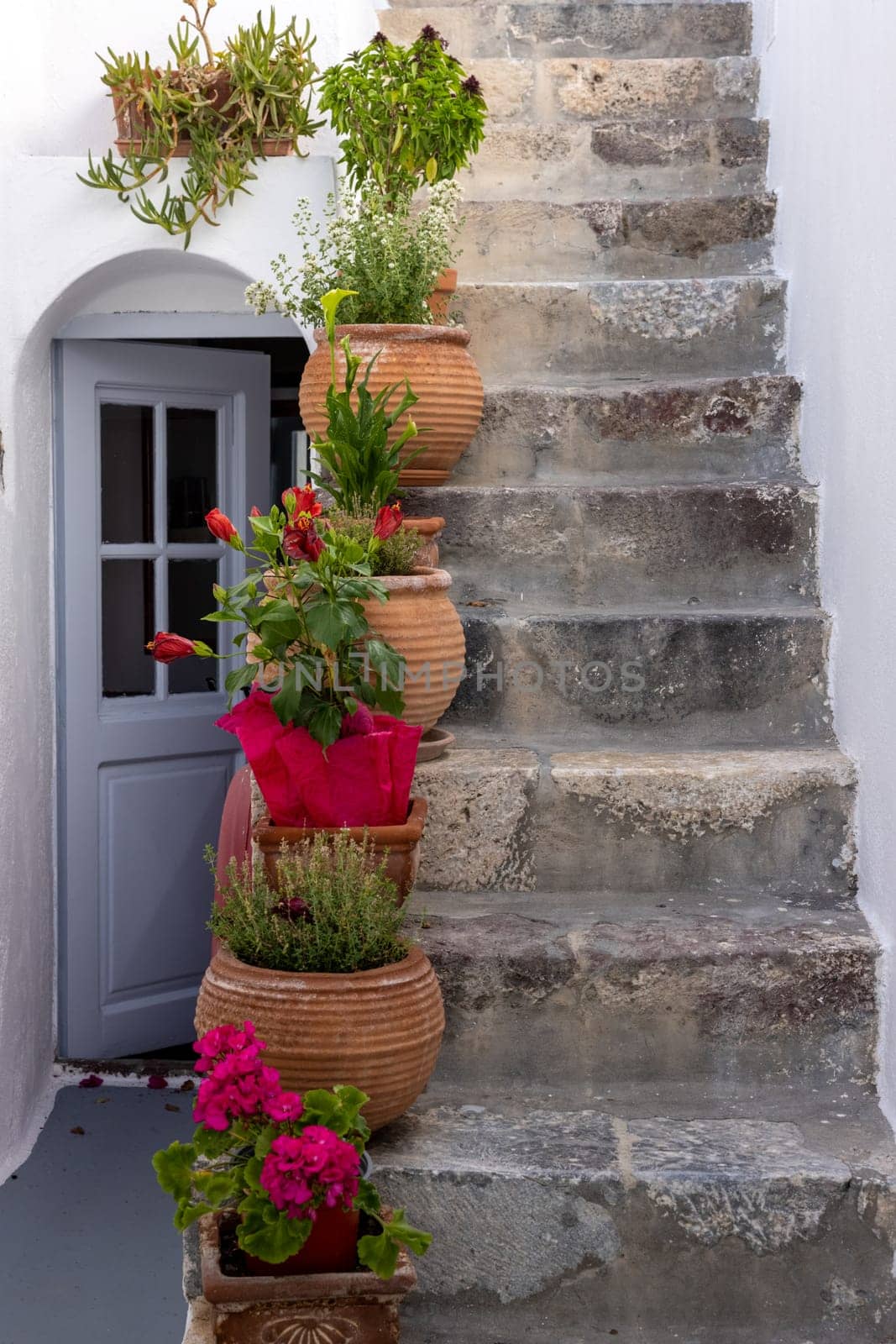 Ceramic flower pots on steep stone steps at Imergovigli, Santorini, Greece