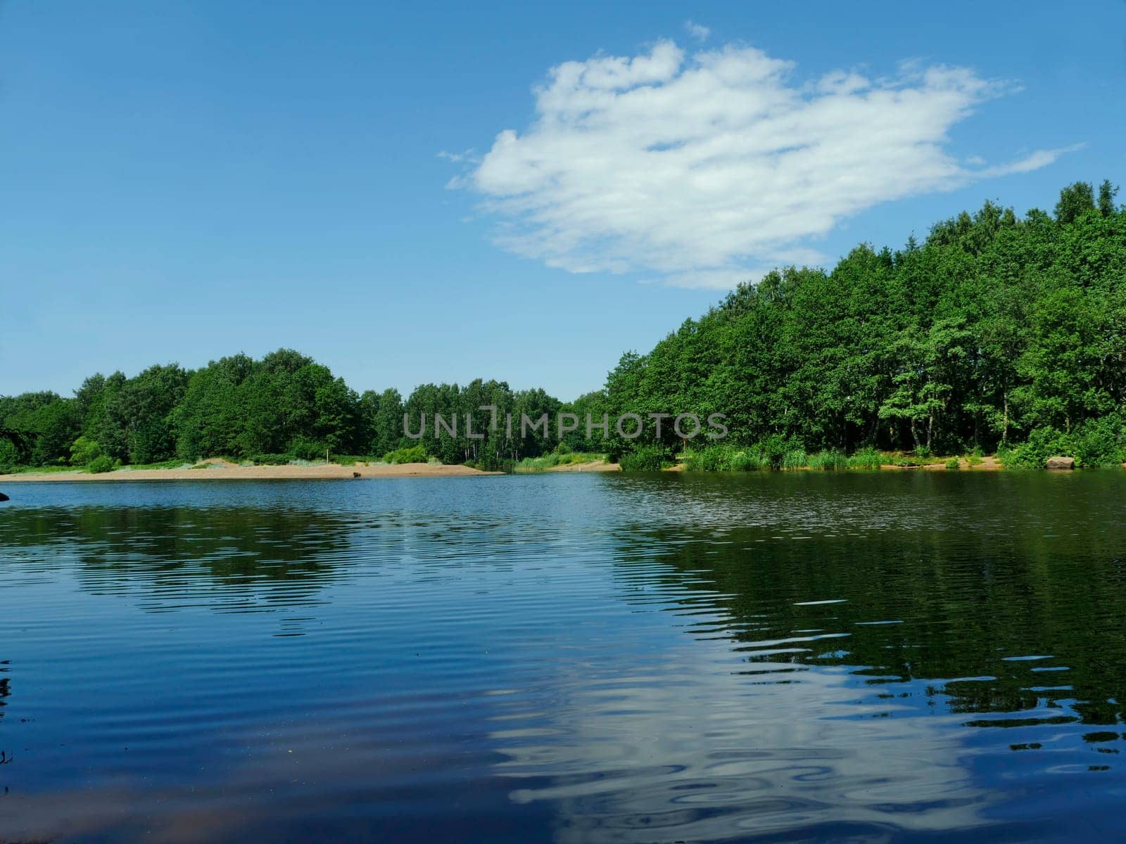 river beautiful scenic landscape, forest blue sky, summer vacation