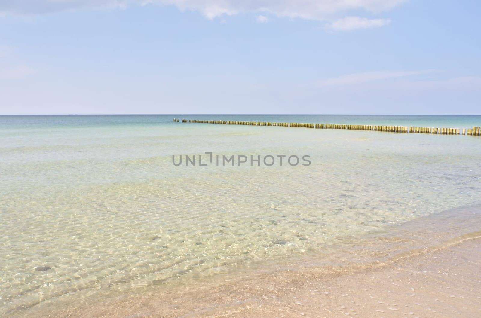 west beach on baltic sea beach. detailed and textured still life. beautiful vacation spot
