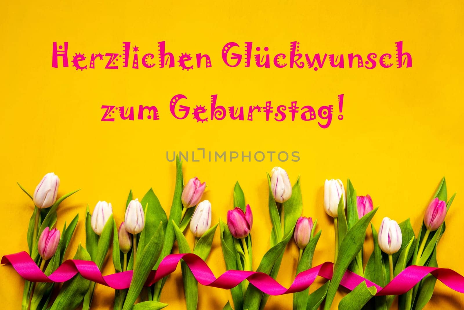 German Text Herzlichen Glueckwunsch Zum Geburtstag Means Happy Birthday. White And Pink Tulip Spring Flowers With Ribbon. Yellow Wooden Background