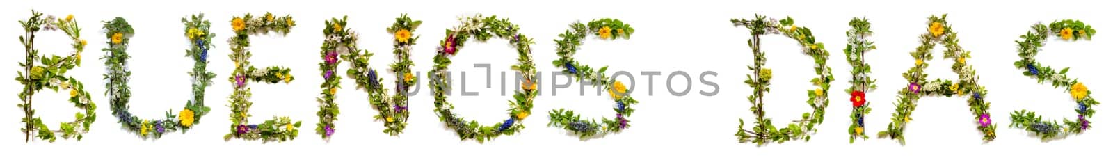 Blooming Flower Letters Building Spanish Word Buenos Dias Means Hello. Summer And Spring Season Blossoms And Flower Lei.