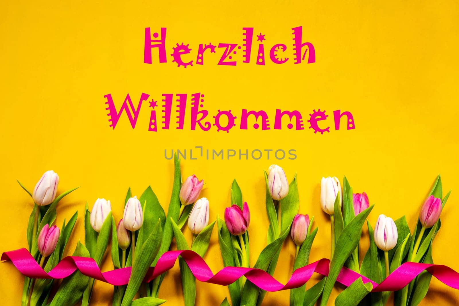 German Text Herzlich Willkommen Means Welcome. White And Pink Tulip Spring Flowers With Ribbon. Yellow Wooden Background