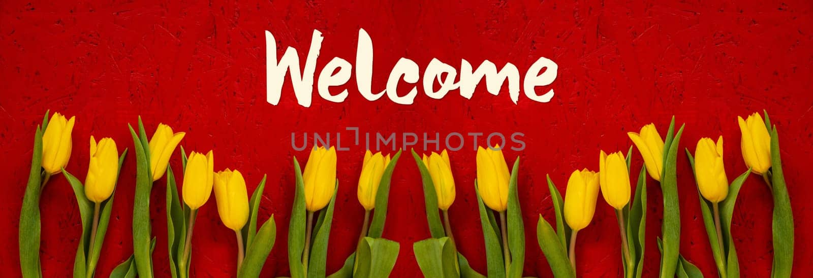 Red Wooden Background With English Text Welcome. Banner Of Yellow Tulip Flowers In Spring Season