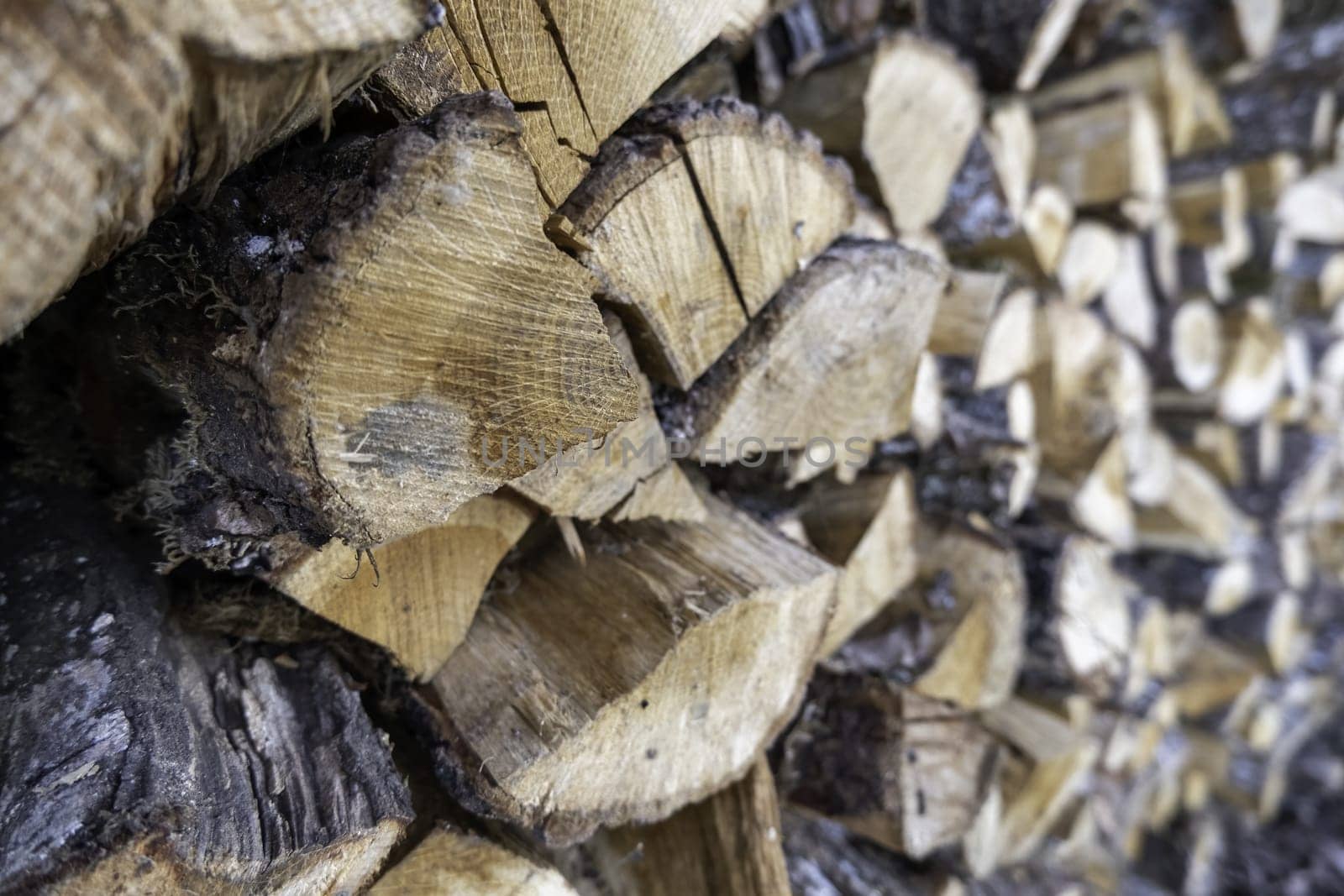 Detail of trees cut to burn and give heat at home, heating
