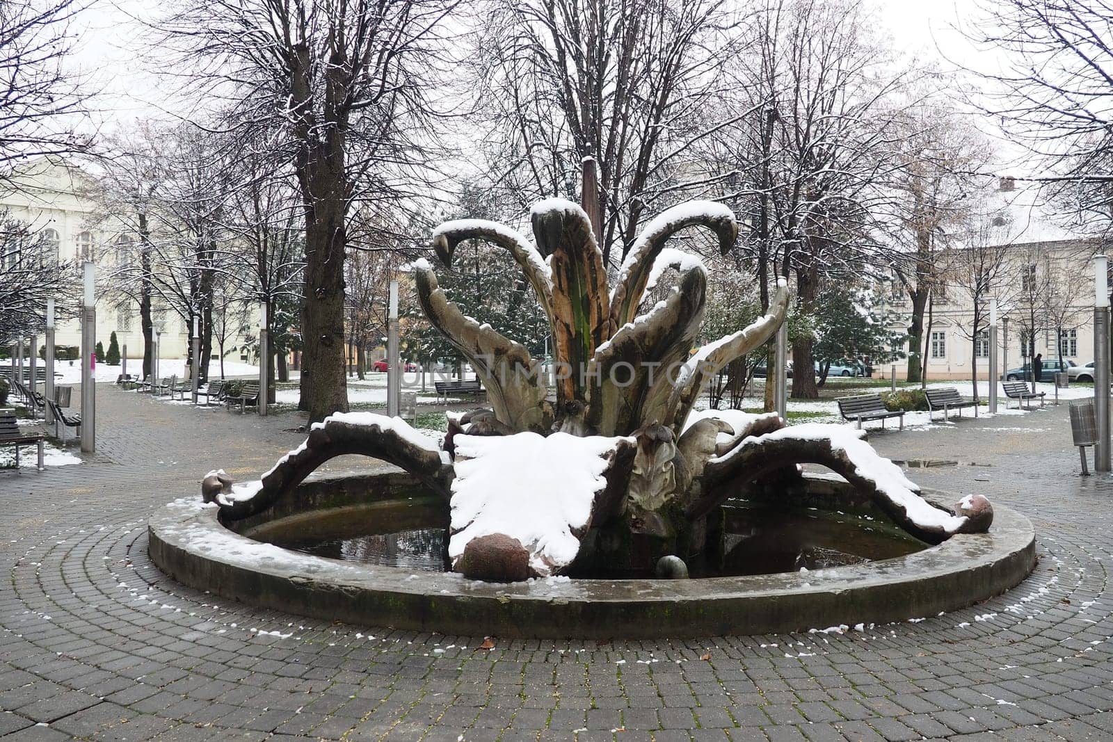 Sremska Mitrovica, Serbia 01.27.2023 City Fountain Stone flower in the central park. Snow cloudiness in winter. Snow covered city park. Decorative architectural forms. Trees, library and city archive