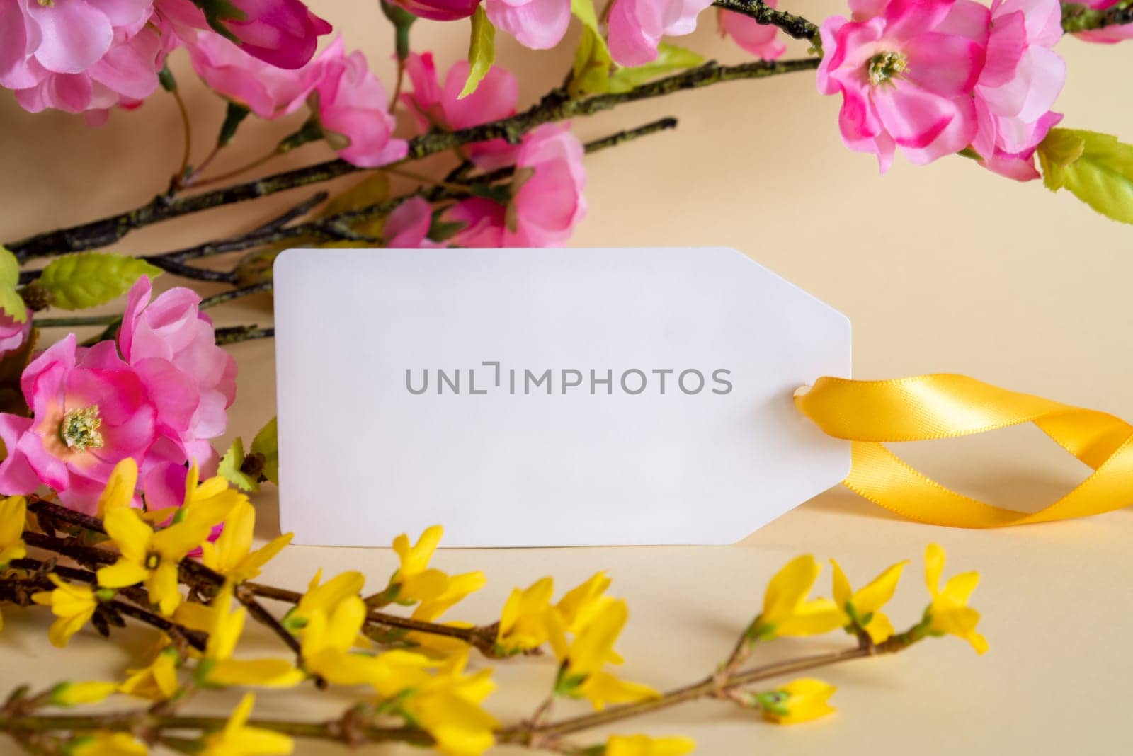 Spring Flower Arrangement With White Label With Copy Space For Free Text. Colorful Flower Branch Decoration With Yellow And Purple Blossoms.