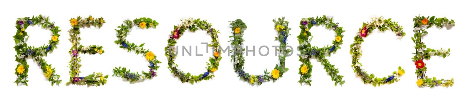 Blooming Flower Letters Building English Word Resource. Summer And Spring Season Blossoms And Flower Lei.