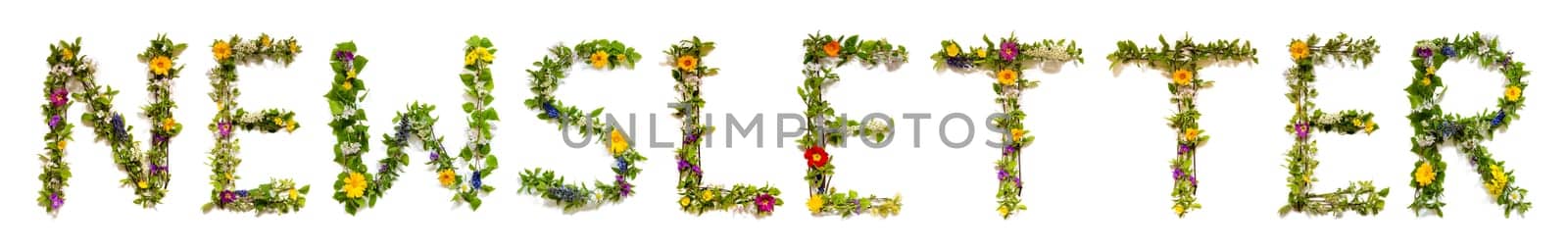 Blooming Flower Letters Building English Word Newsletter. Summer And Spring Season Blossoms And Flower Lei.