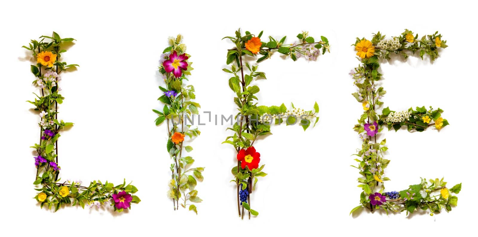 Blooming Flower Letters Building English Word Life. Summer And Spring Season Blossoms And Flower Lei.
