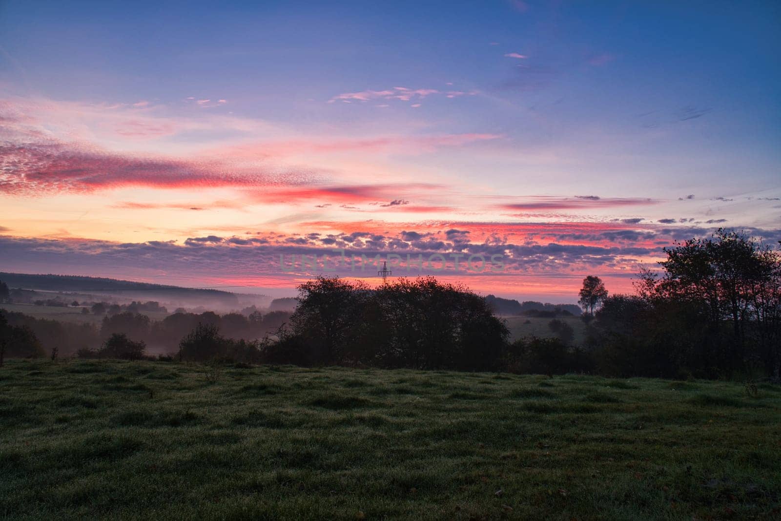 Sunrise over a neighboring forest with meadow in the foreground. Pasture landscape with tree standing alone at dawn. Landscape photo in Saarland