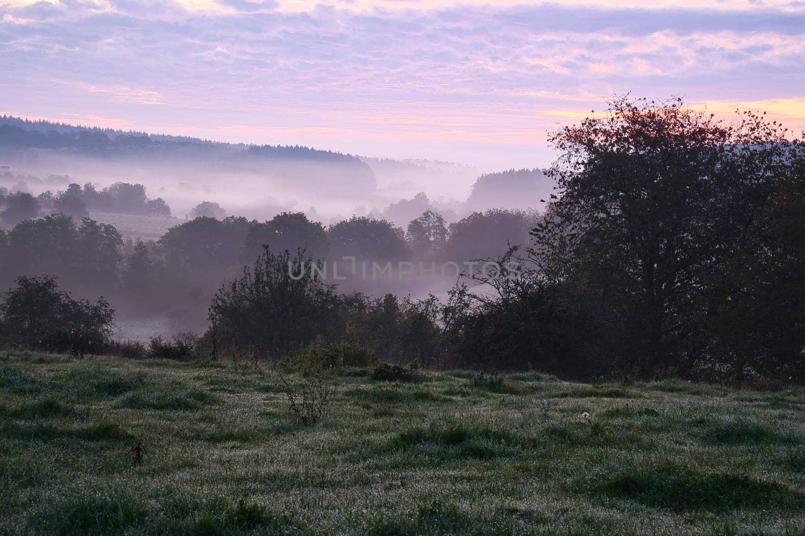 Sunrise over a neighboring forest with meadow in the foreground. Pasture landscape with tree standing alone at dawn. Landscape photo in Saarland
