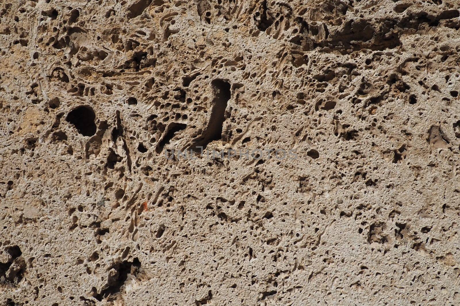 Textured wall lined with beige shell rock tiles. Close-up of a wall made of ancient shell rock. Holes, irregularities of natural building material. Church wall in Banja Koviljaca, Serbia.