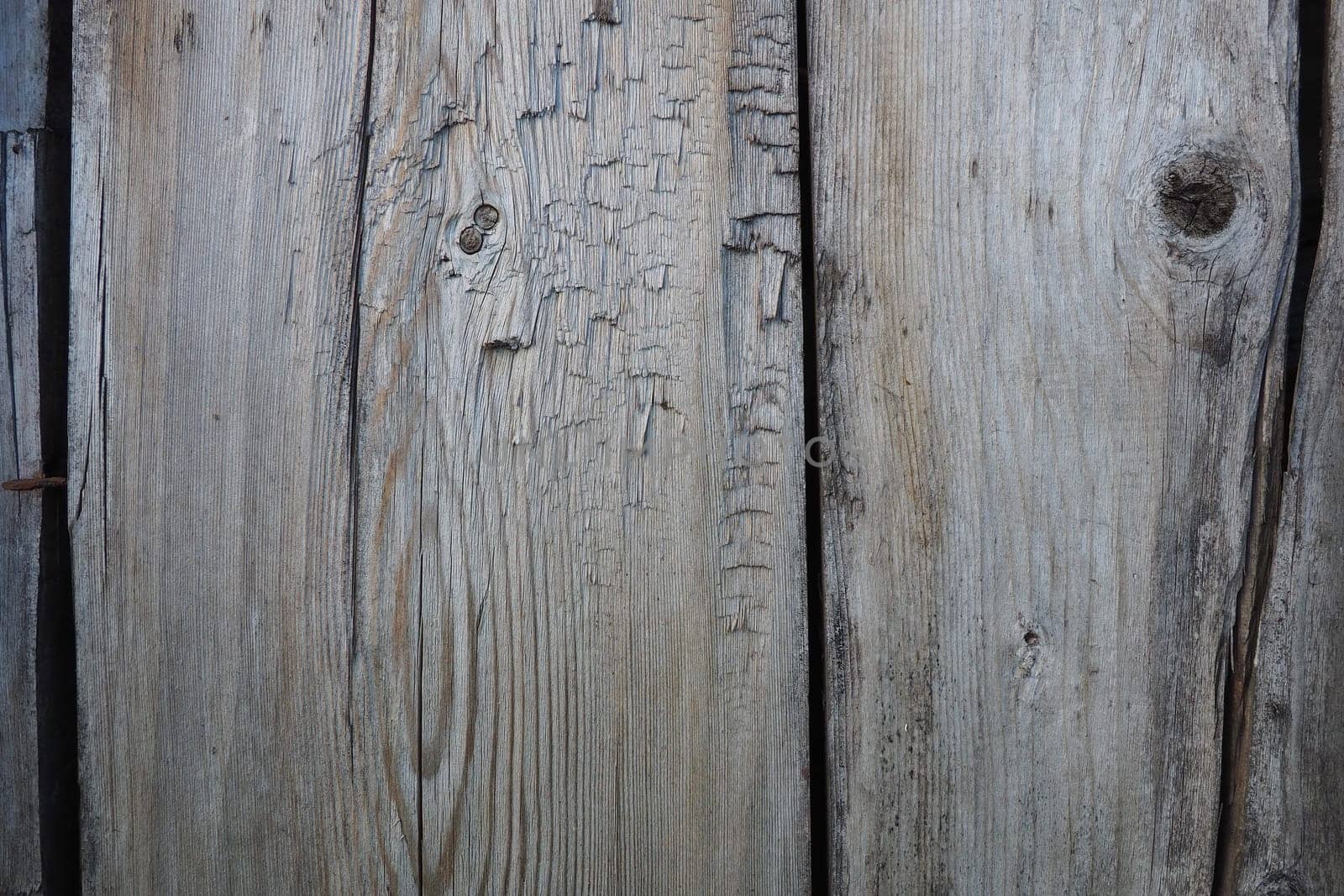 Vertical boards background. Gray brown old wood with knots. Board wall. Country style.