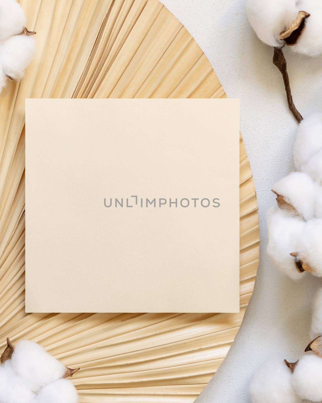 Blank card on dried palm leaf with cotton flowers top view, mockup. Romantic scene with square paper card. Bohemian pastel greeting or wedding Invitation .