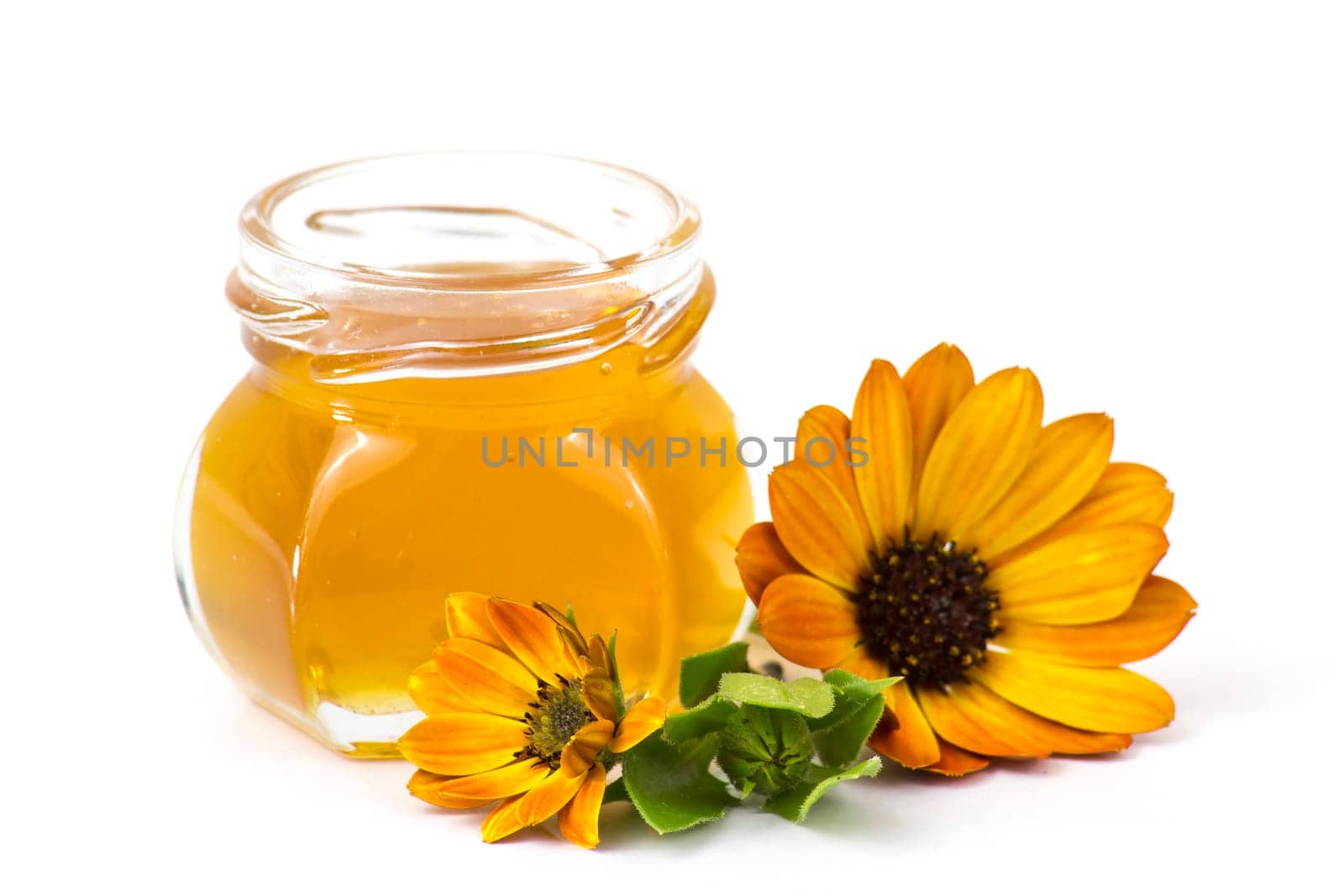 honey and flowers on white background