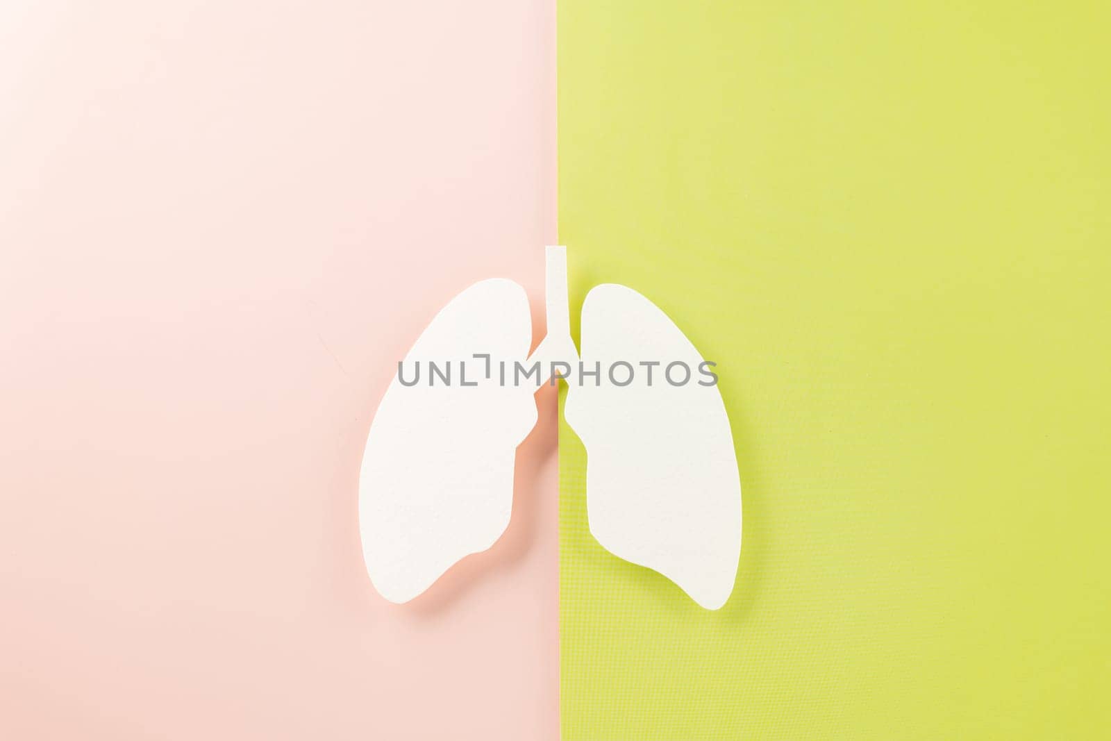 World tuberculosis day. Top view Lungs paper decorative symbol on pink and green background, copy space, concept of world TB day, no tobacco, Medical and healthcare, lung cancer awareness, 24 March