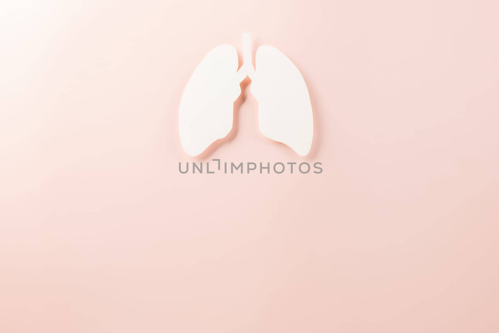 World tuberculosis day. Top view Lungs paper decorative symbol on pastel pink background, copy space, concept of world TB day, no tobacco, Medical and healthcare, lung cancer awareness, 24 March