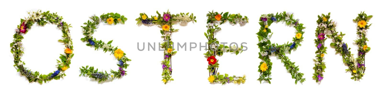 Blooming Flower Letters Building German Word Ostern Means Easter. Summer And Spring Season Blossoms And Flower Lei.