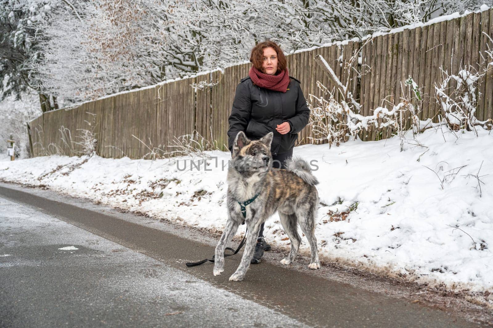 Young woman with brown curly hair standing on a frozen road with her gray colored akita inu dog, looking at camera during winter with lots of snow