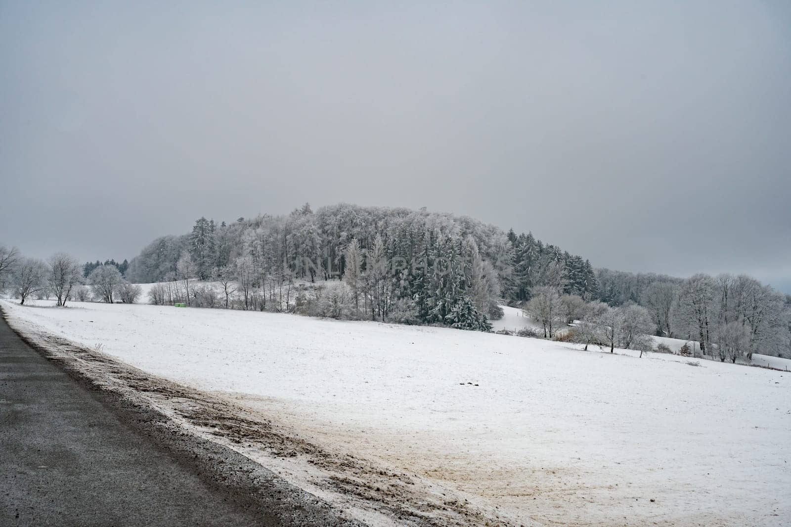 Winter landscape with road in front, forest in the distance with lots of snow
