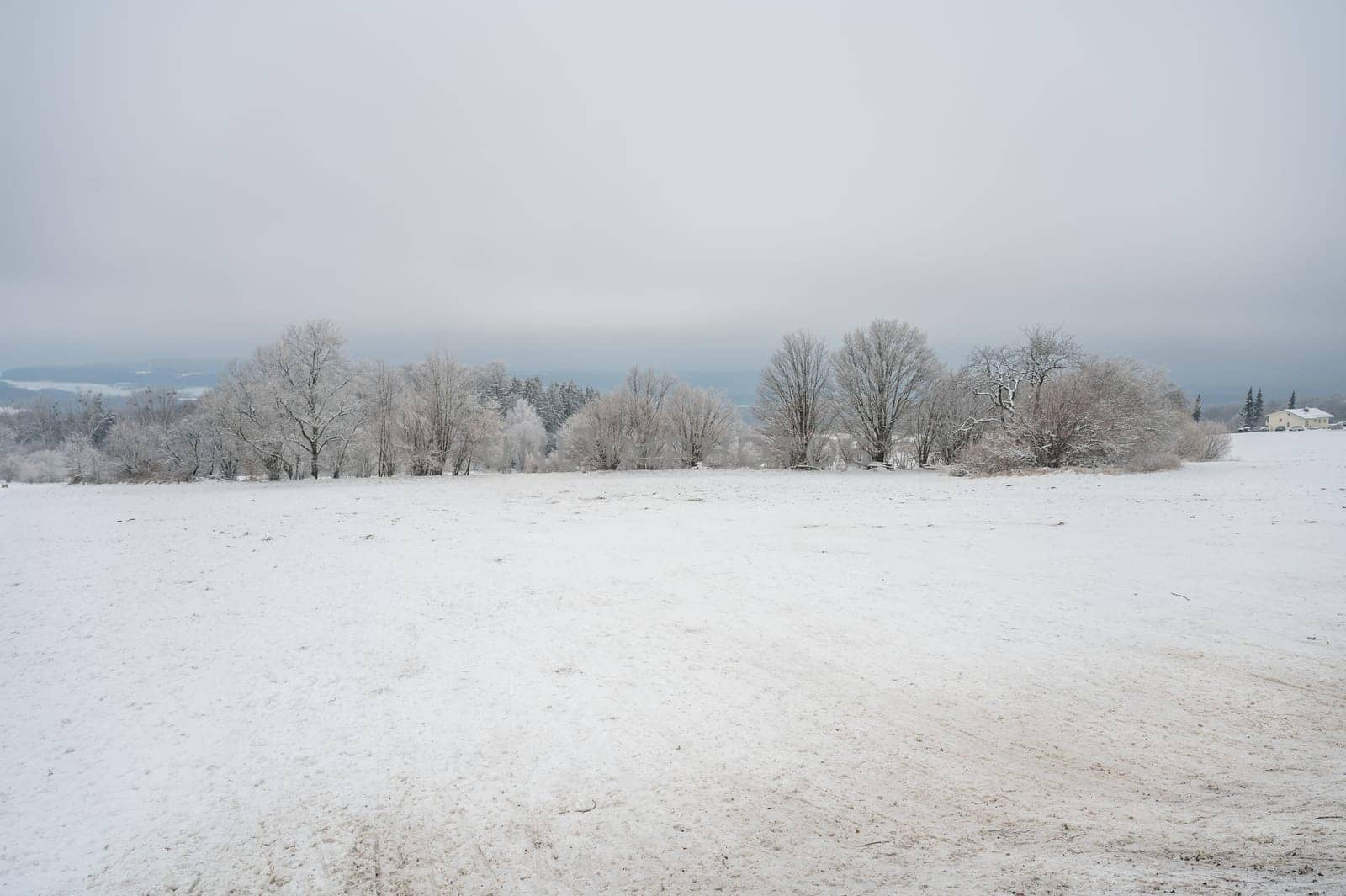 Beautiful snow landscape background with meadow and forest during cloudy day in the winter, Neunkircher Hoehe Odenwald, Darmstadt