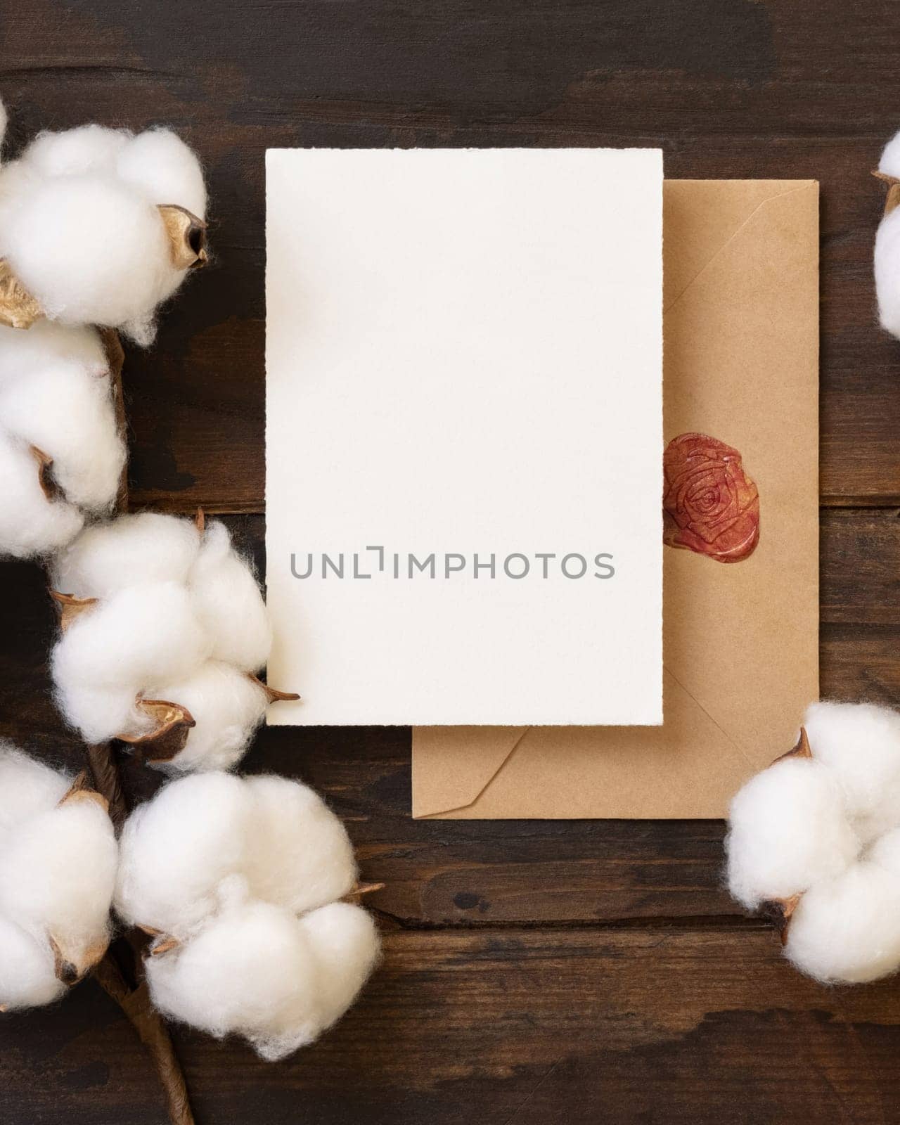 Blank paper card and envelope with cotton flowers top view on dark brown wood, mockup. Romantic scene with wedding menu or invitation card. Bohemian pastel greeting or wedding vertical card