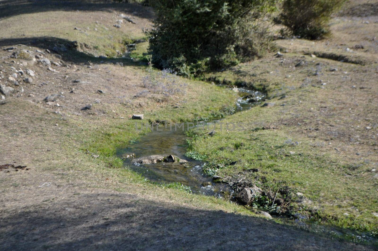 A small stream flows through a green meadow in the mountains.