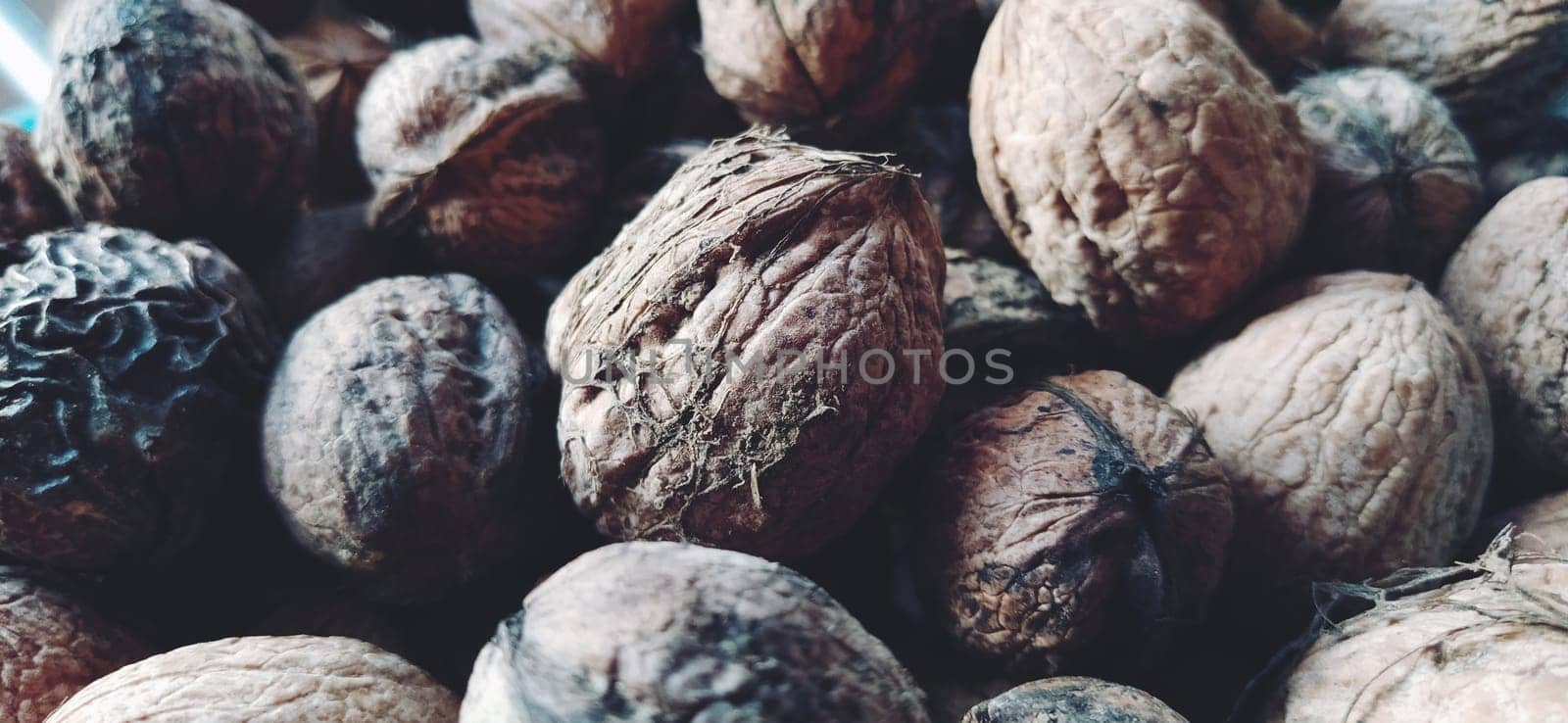 Walnuts close-up. Harvest of nuts. Walnut fruits, rounded large single single-seeded drupes. A healthy diet that includes glycerides of linoleic, oleic, stearic, palmitic and linolenic acids. Soft focus