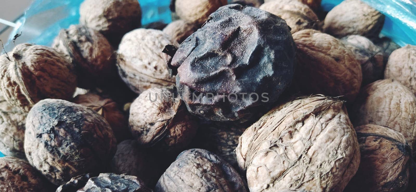 Walnuts close-up. Harvest of nuts. Walnut fruits, rounded large single single-seeded drupes. A healthy diet that includes glycerides of linoleic, oleic, stearic, palmitic and linolenic acids.