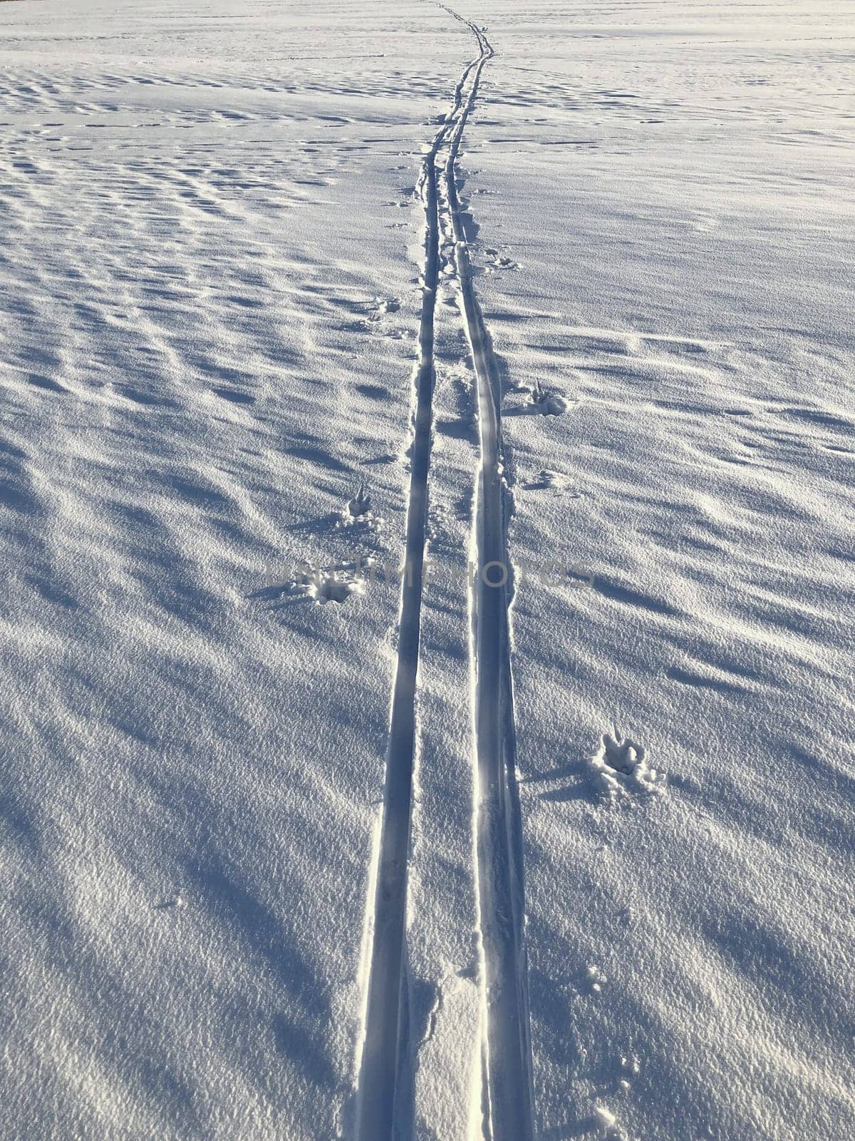 ski track into the endless distance on a snowy field