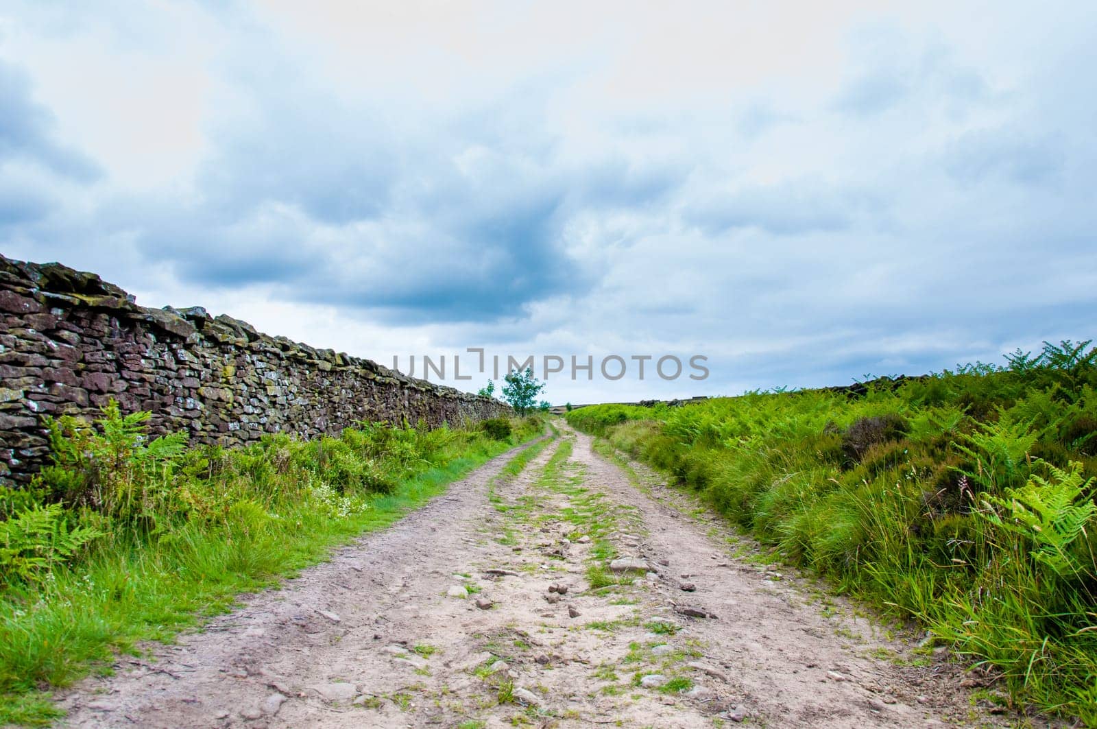 Empty lane with stone fences in Lancashire countryside, UK