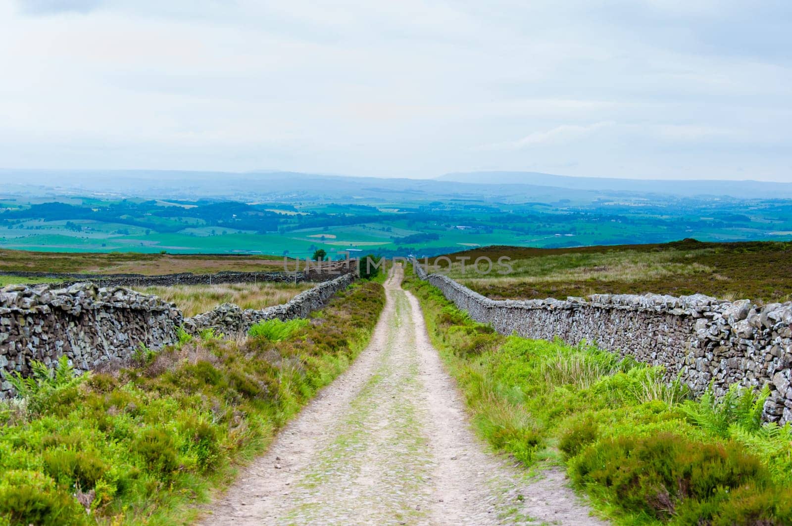 Empty lane with stone fences in Lancashire countryside, UK