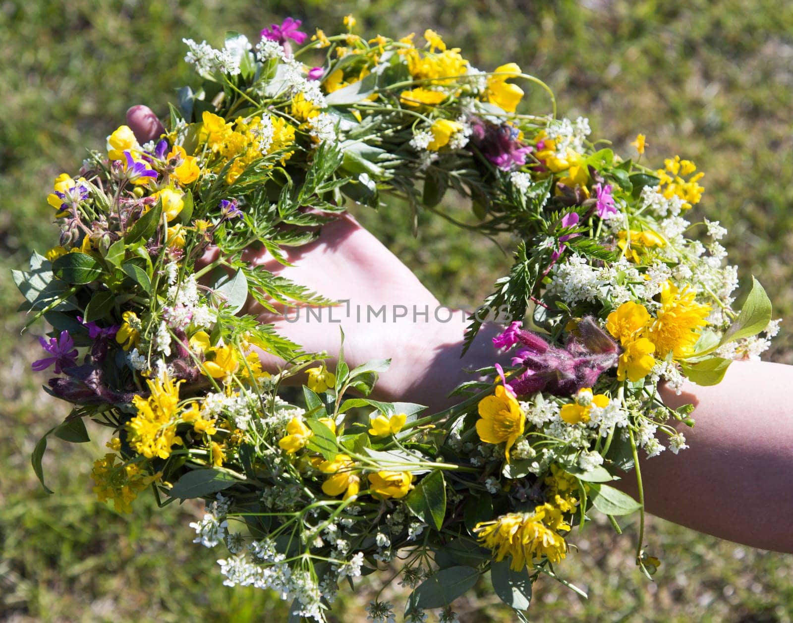 Swedish Midsummer Headgear Traditional held by a female hand.