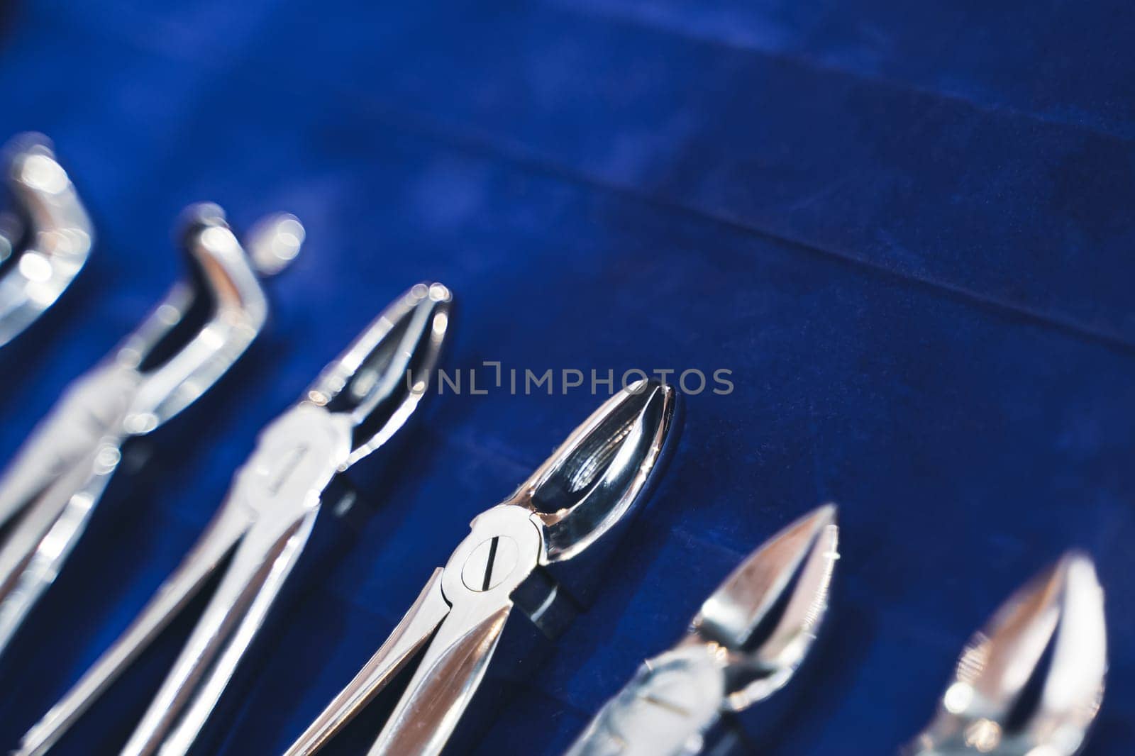 perspective view closeup of row of various dental extraction forceps tools on display on blue background with shallow depth of field