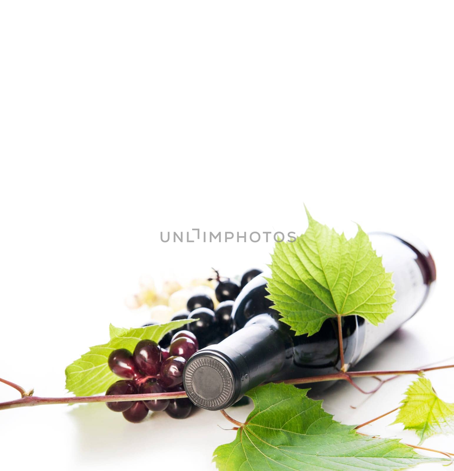 Bottle of luxury red wine and grape vine frame isolated over white background with copyspace. Winery and wine tasting concept. Restaurant vine list design banner.