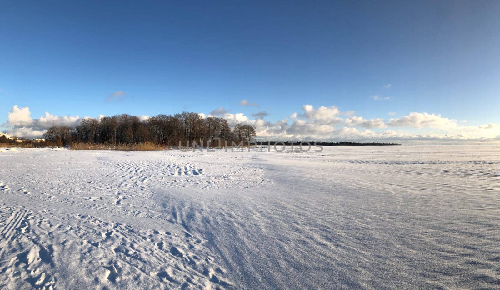 panorama frozen white lake, blue sky, sunny day, landscape