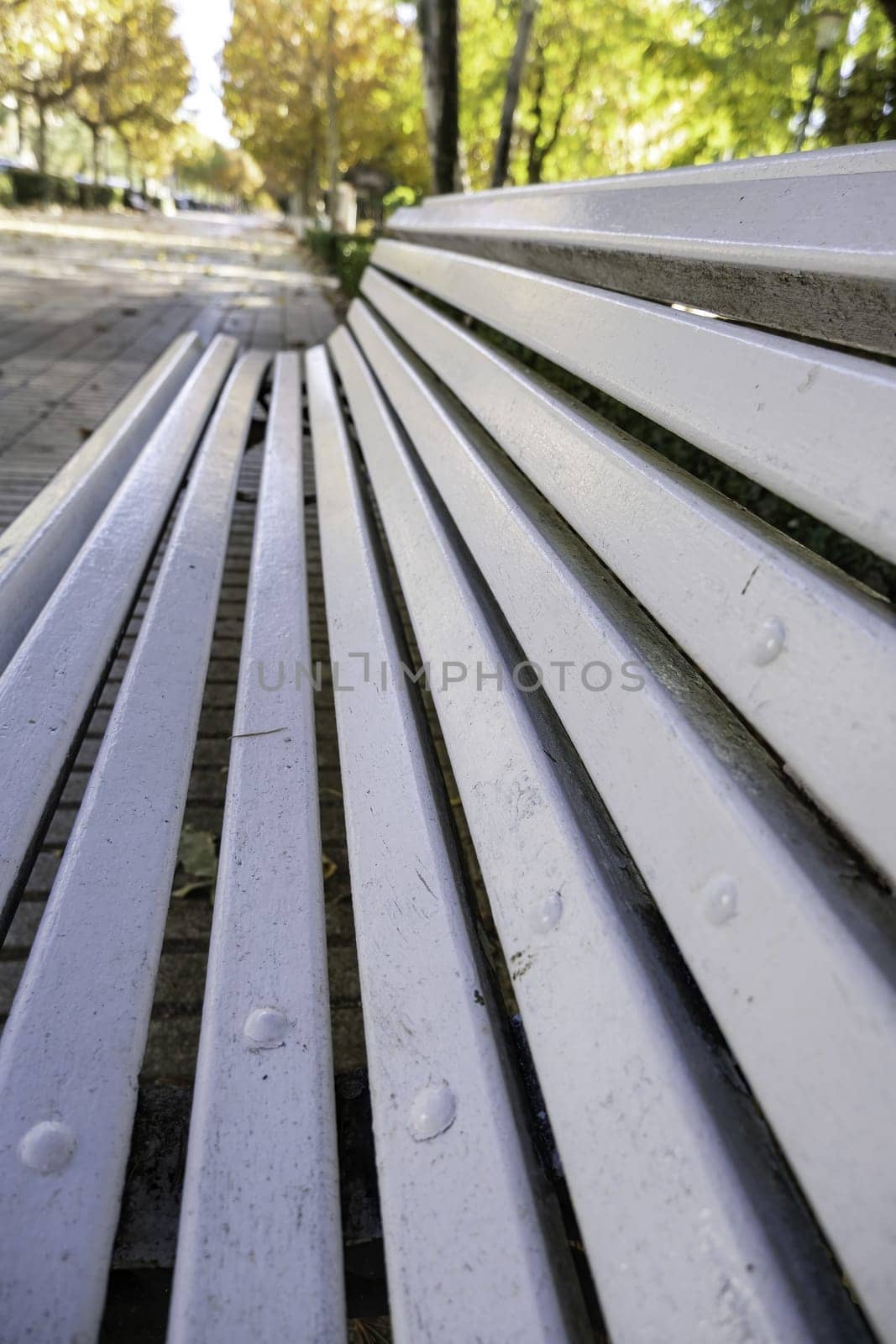 Detail of bench to sit and rest in a park in nature