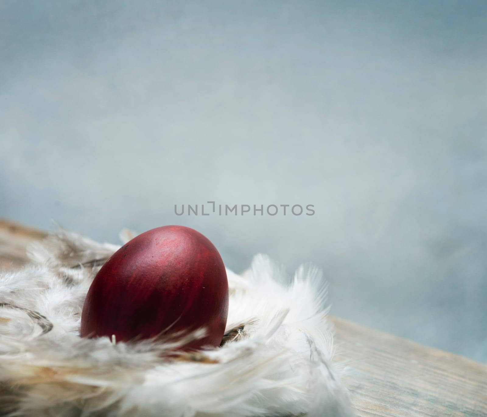 Painted red easter egg in bird feather nest over vintage blue artistic canvas textured background. Traditional creative easter still life wallpaper. Fine art print design. Minimal artwork concept.