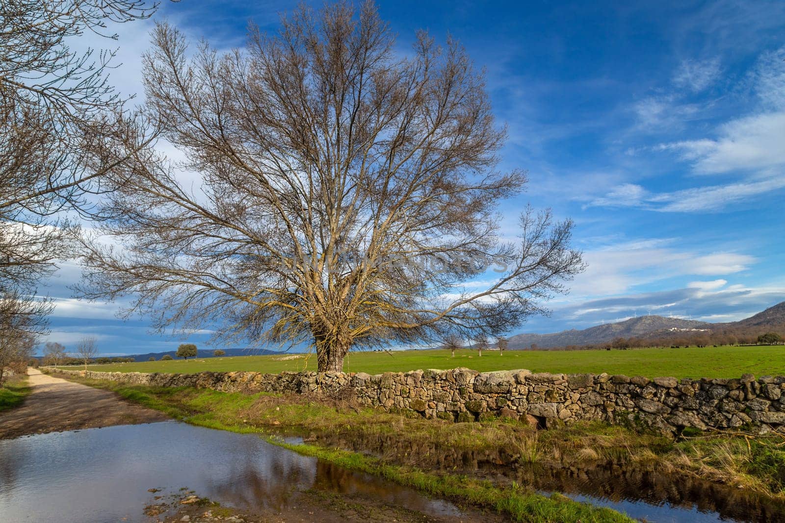 Via de la Plata way (Silver Way) to Santiago in Extremadura. Spain