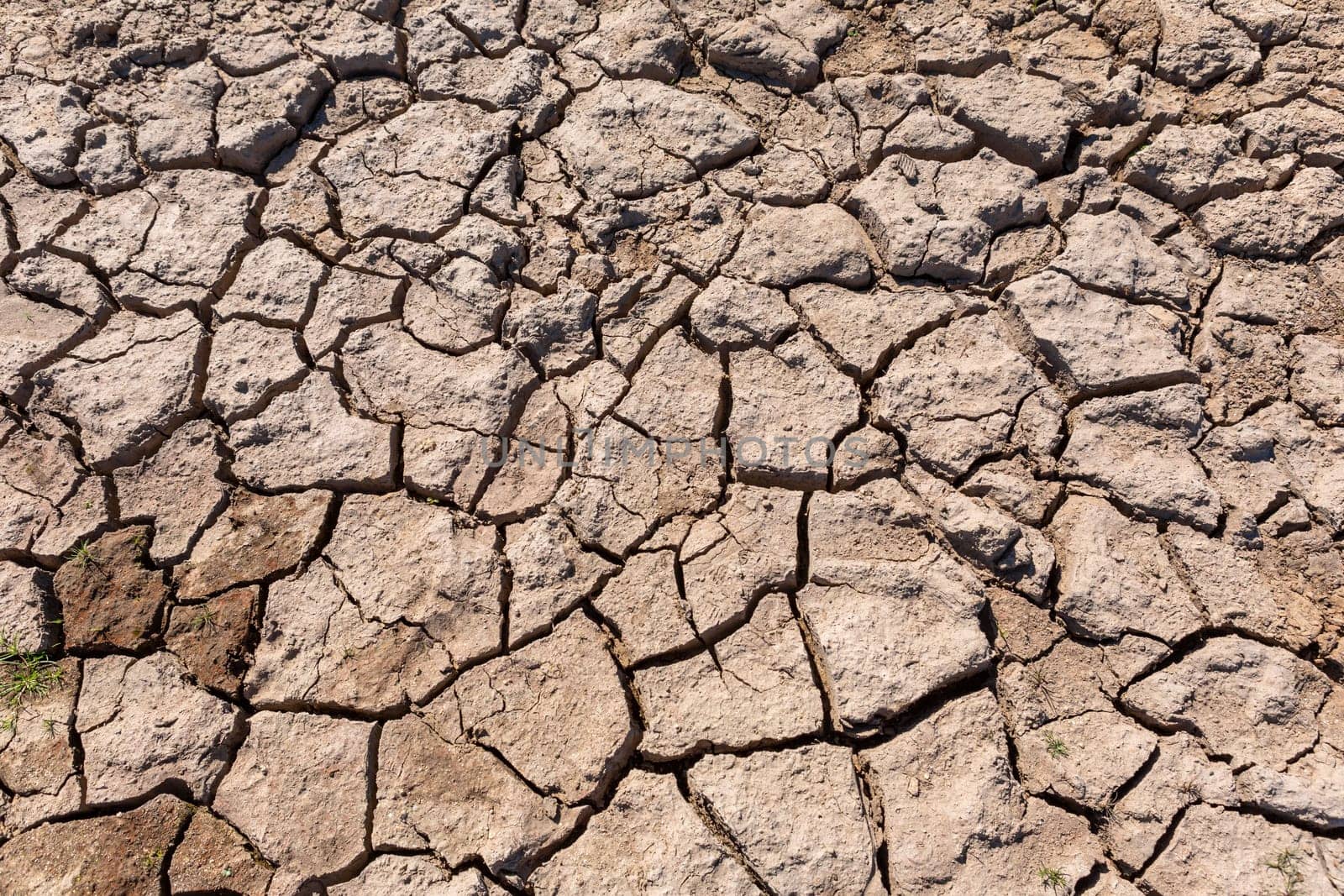 Cracked dry ground texture in Pisoes, north of Portugal
