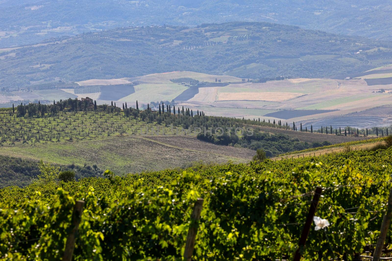 The rural landscape near Pienza in Tuscany. Italy