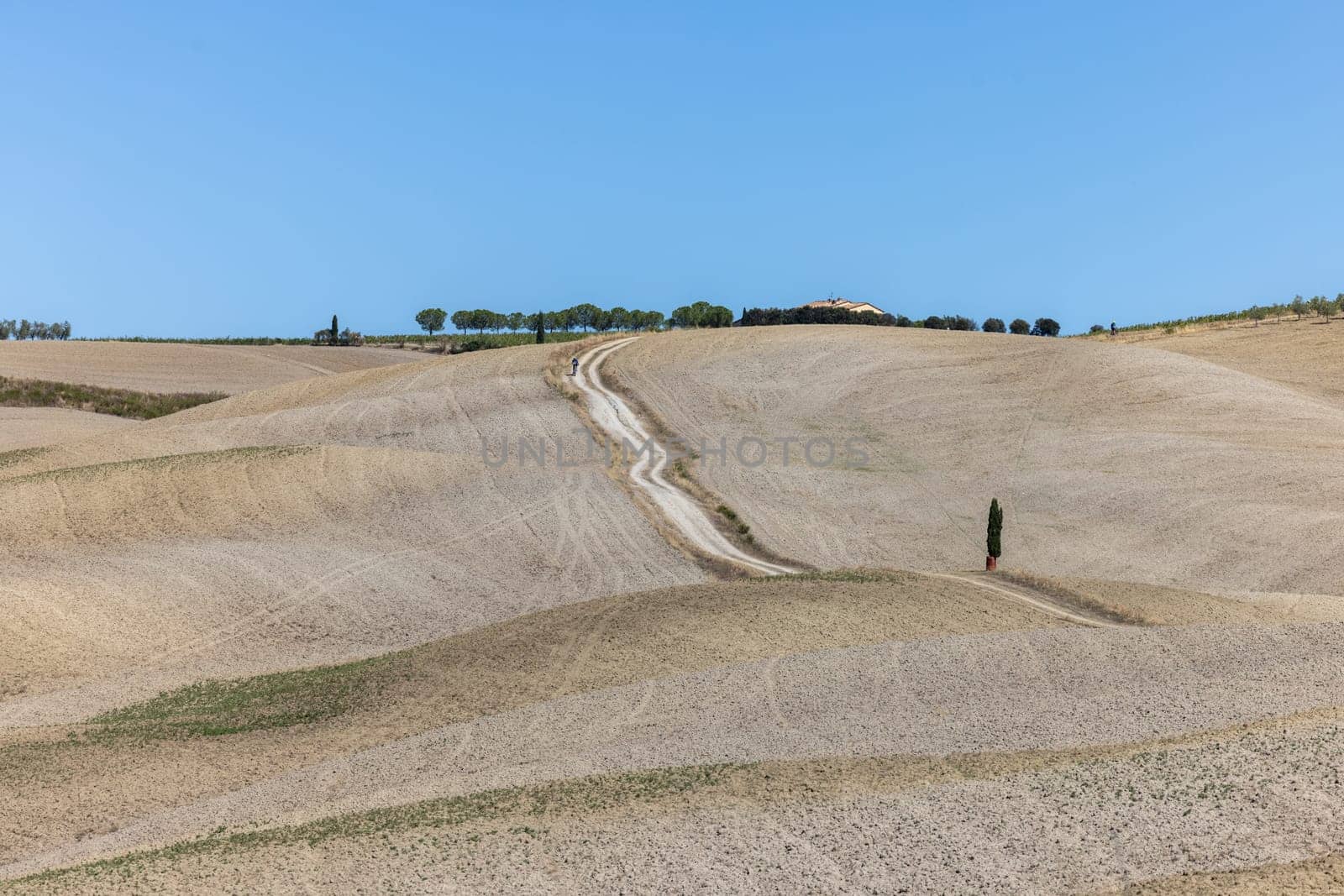 The rural landscape near San Quirico in Tuscany. Italy