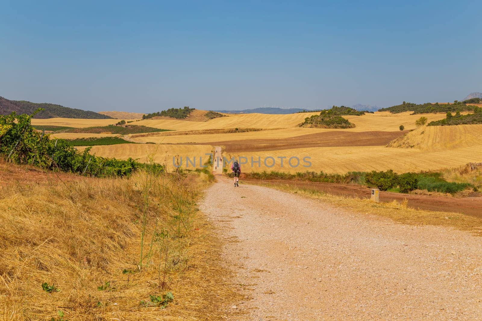 Navarre, Spain, 26 August, 2022: Pilgrims walk along the Camino De Santiago, the Way of St. James pilgrimage route, Navarra, Spain.